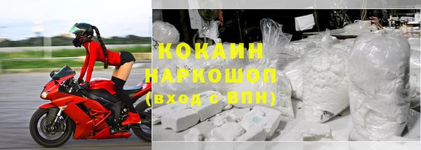 индика Армянск